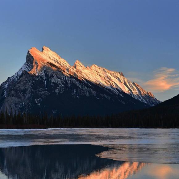 Meet your Posher, Tanner - Picture 1 of 1